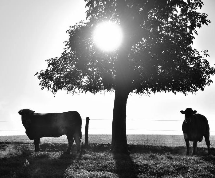 diapo-acc-1 diapo-acc-1