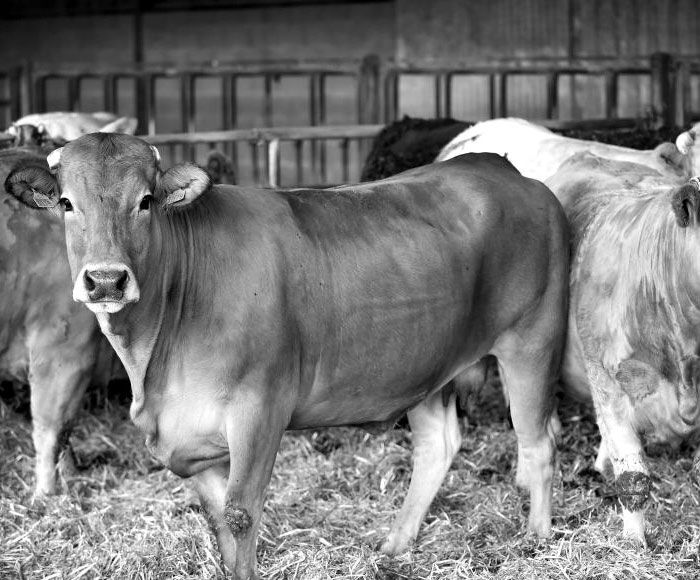 diapo-acc-2 diapo-acc-2