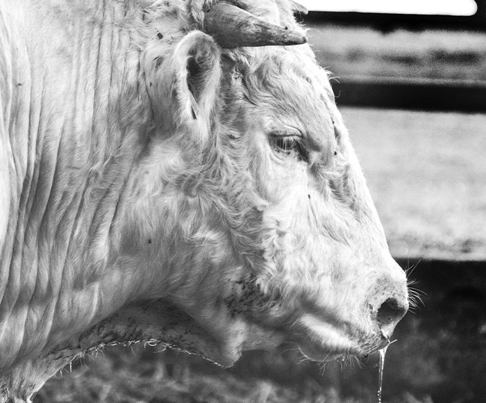 diapo-acc-5 diapo-acc-5