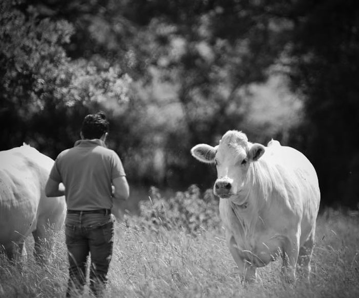 diapo-acc-6 diapo-acc-6