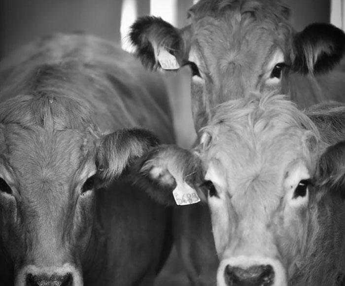 diapo-acc-8 diapo-acc-8